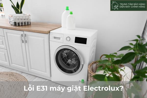Loi E31 may giat Electrolux