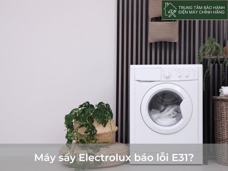 May say Electrolux bao loi E31 1