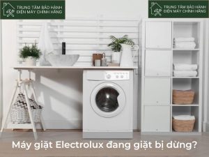 May giat Electrolux dang giat bi dung