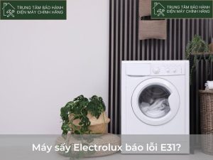 May say Electrolux bao loi E31 1